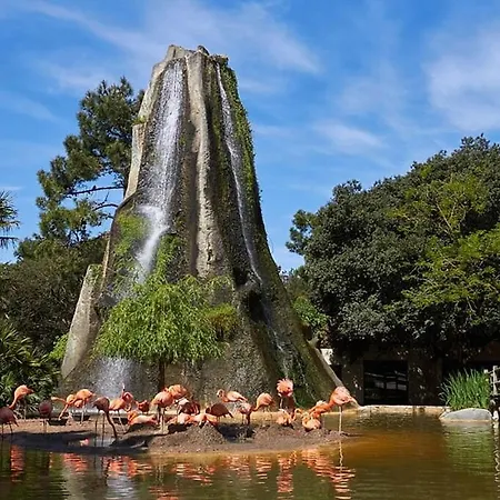 Ferienhaus Ecrin Eminence A Louer Les Mathes