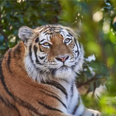 Ecrin Eminence A Louer Holiday home *