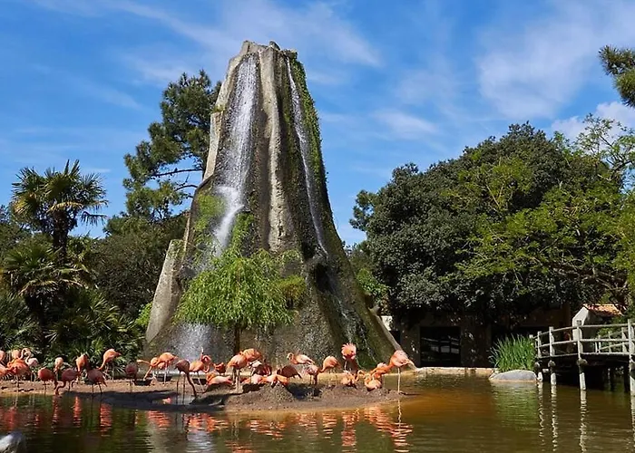 Holiday home Ecrin Eminence A Louer Les Mathes