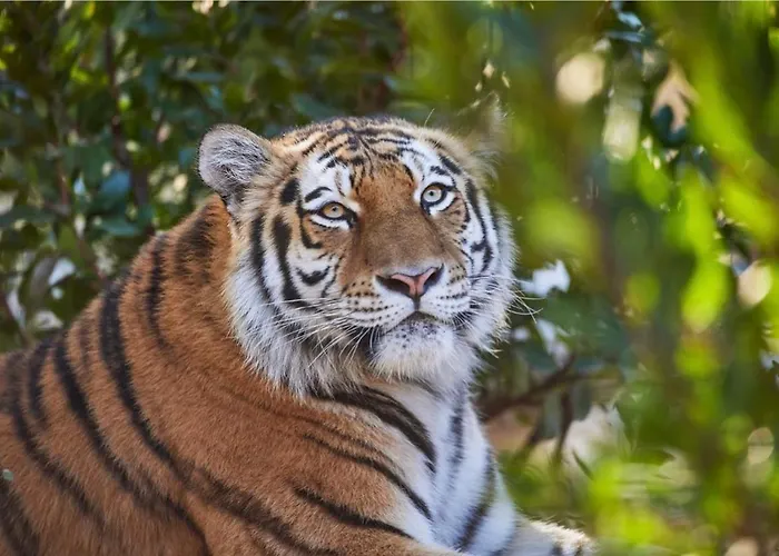 écrin Eminence à Louer Hébergement de vacances *